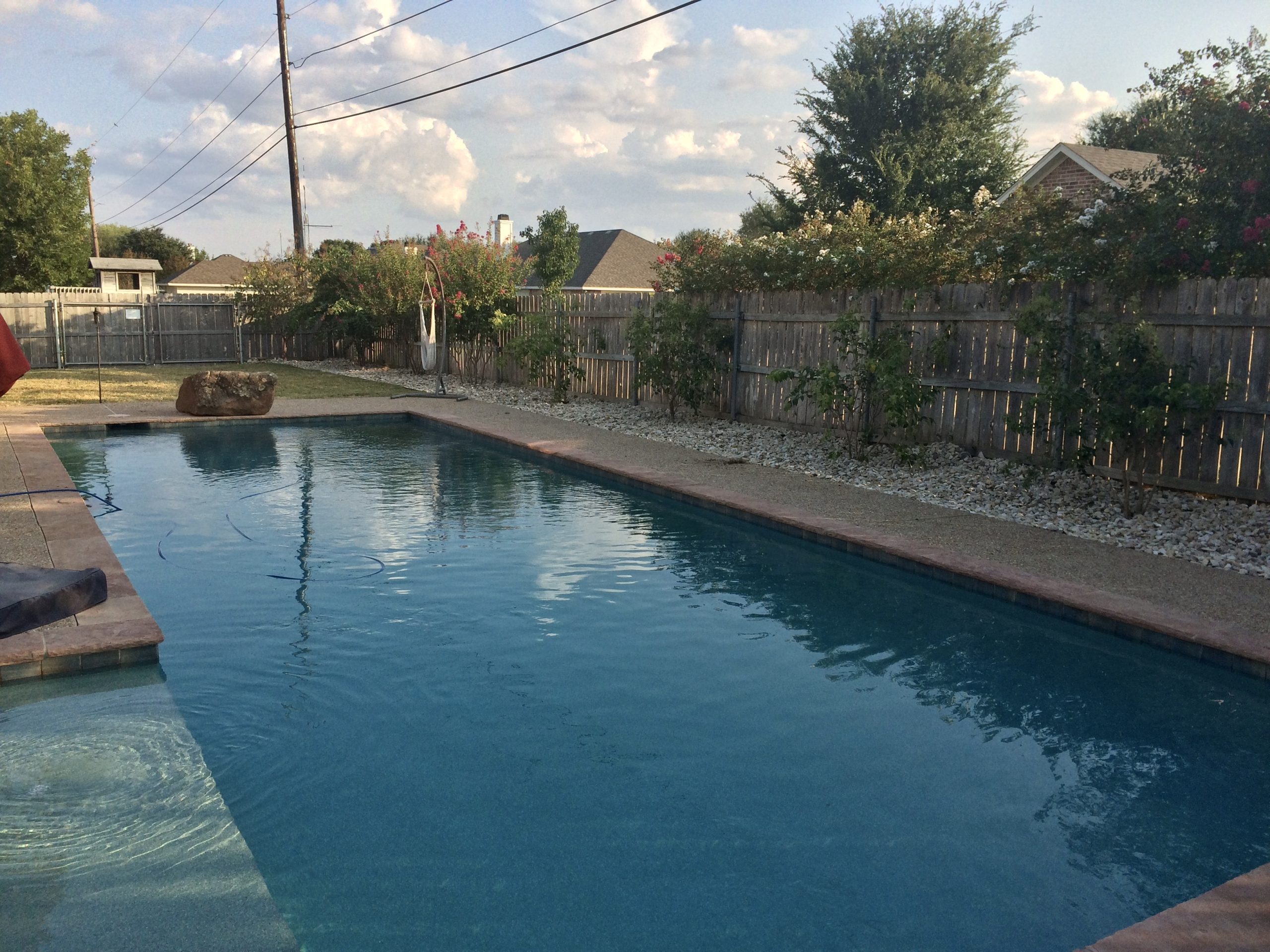 Swimming pool surrounded by patio and landscaping